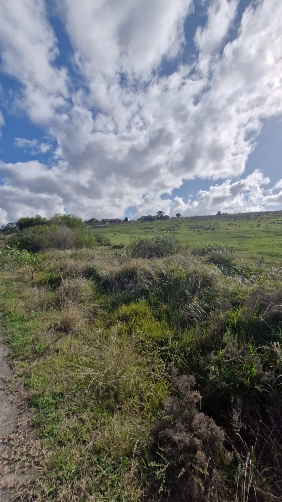 Commercial Property for Sale in Baardskeerdersbos Western Cape